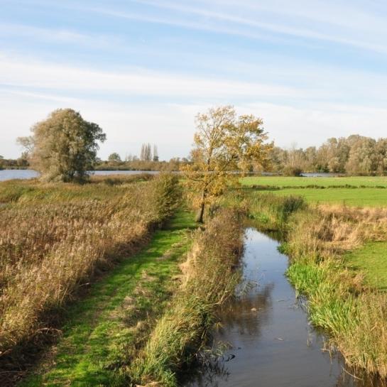 Een landschap in Diksmuide