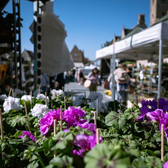 Een sfeerbeeld van de boerenmarkt